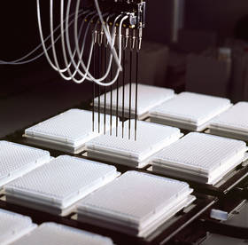 Distribution 5l PCR reaction on 384 MTP`s