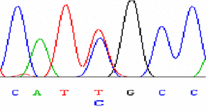 Fig. 1: Workflow of the mutation screening platform - Sequencing of variants