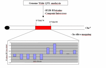 Fig 4: Schematic presentation of the in silico mapping approach and results.