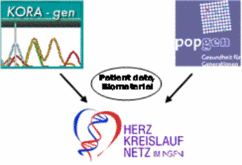 Fig. 2 Concept of the net project Population genetics of cardiovascular diseases of Cardiovascular Diseases