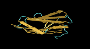 Functional and structural studies of mutations