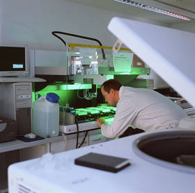 Automatisierte Pipettierung von PCR Reaktionen