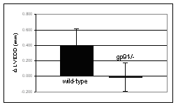 Figure 3: Effect of chronic doxorubicin treatment on left ventricular end-diastolic dimension (LVEDD) and fractional shortening (LVFS) assessed by echocardiography in C57Bl/6 mice deficient in the NAD(P)H oxidase subunit gp91 (n=11) and in wild-type mice of the same background (n=18). Measurements were performed four weeks after completion of the treatment. Data shown as mean  SD.