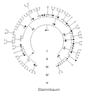 Stammbaum